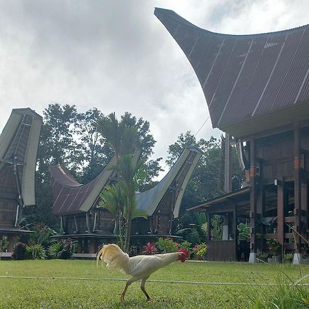 Toraja Homestay & Coffee Bunna Rantepao Exteriör bild